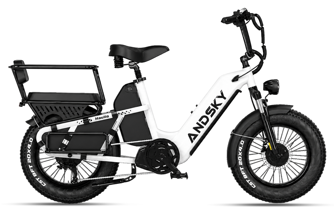 Haulio Max