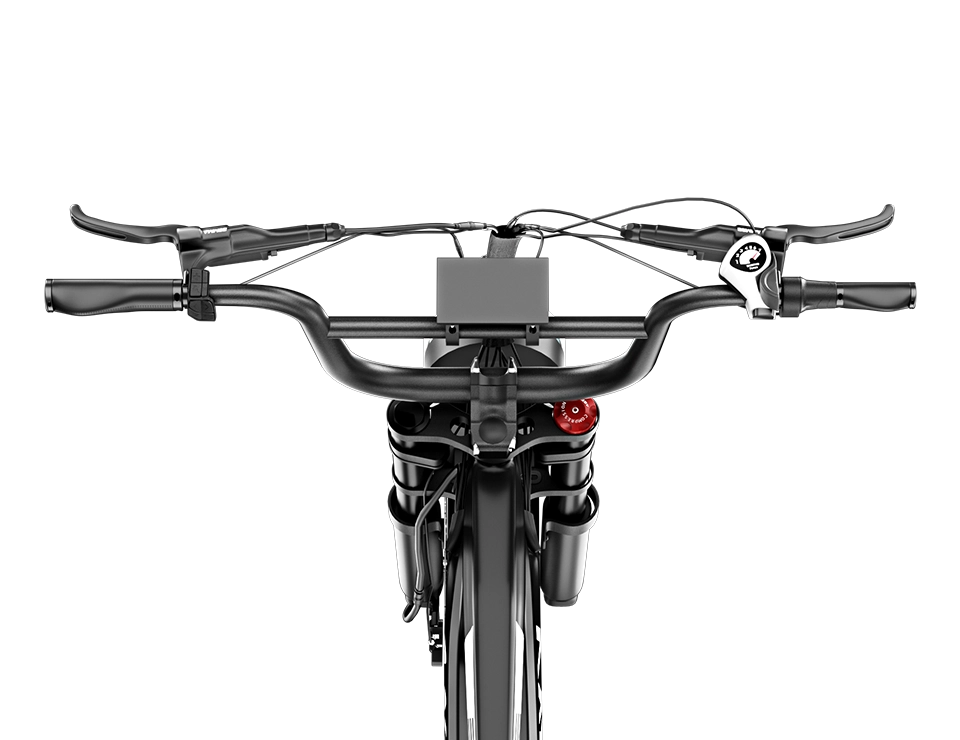 Display & Sensor Switch