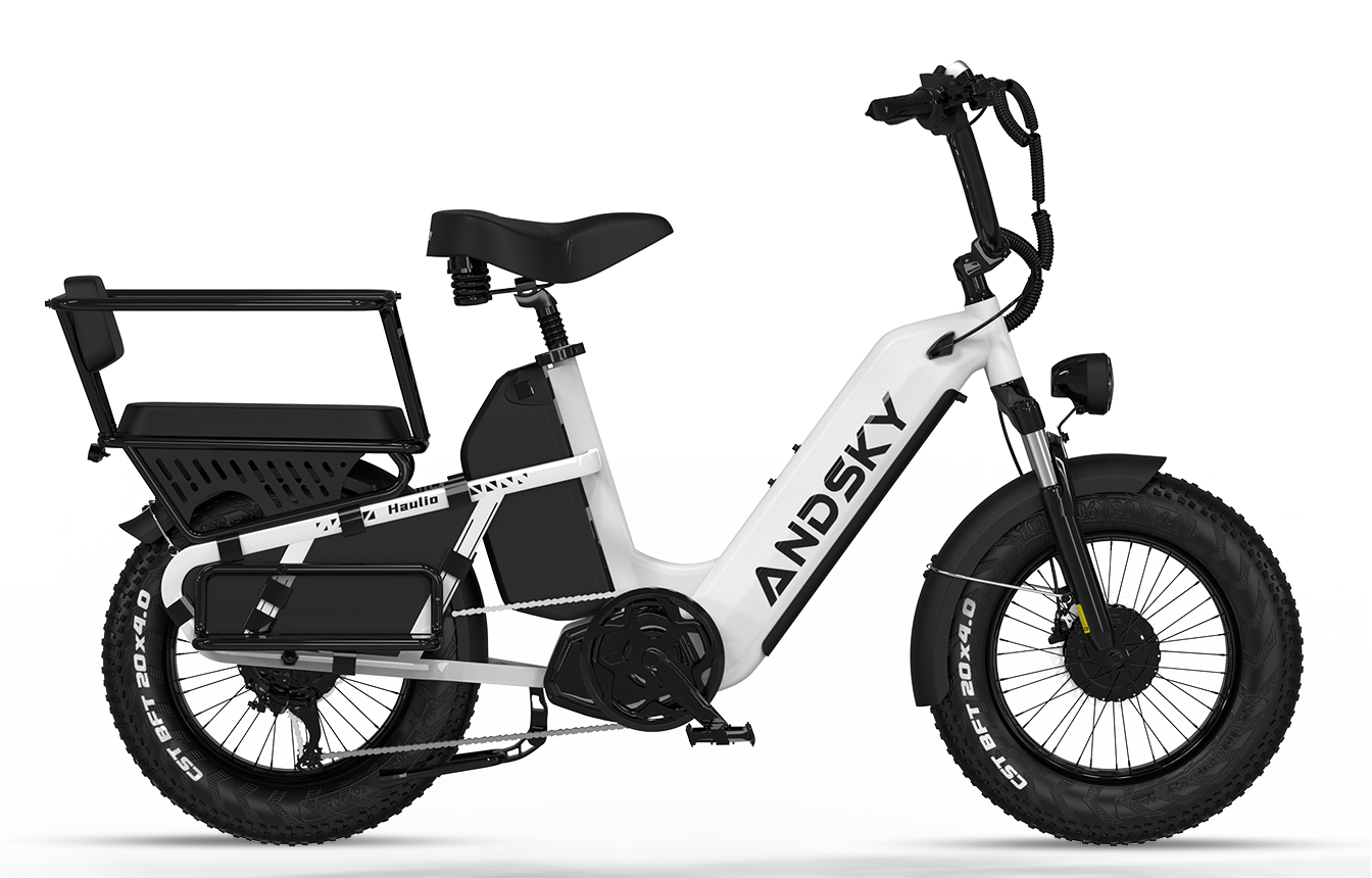 White（Torque / Cadence）