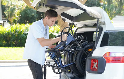 E300 Ebike