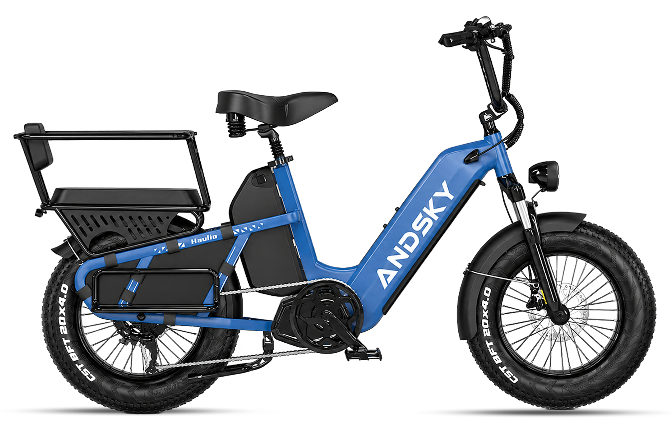 Blue（Torque / Cadence）