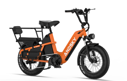 Haulio S
