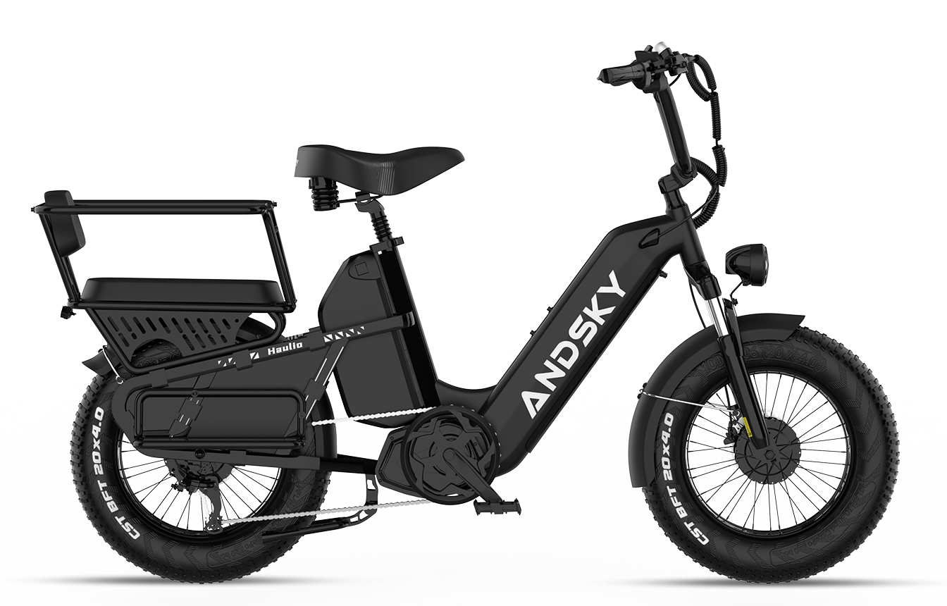 Black（Torque / Cadence）