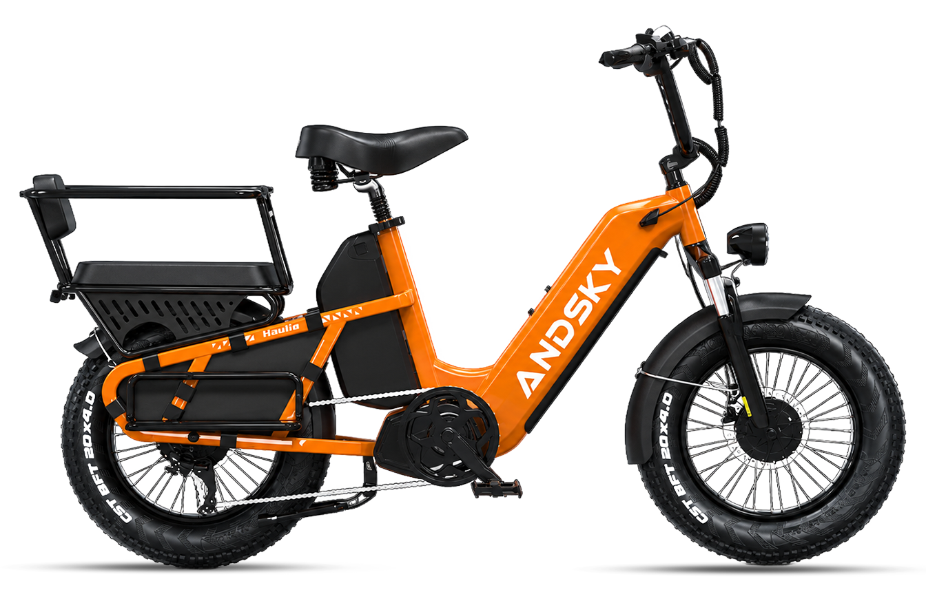 Orange（Torque / Cadence）