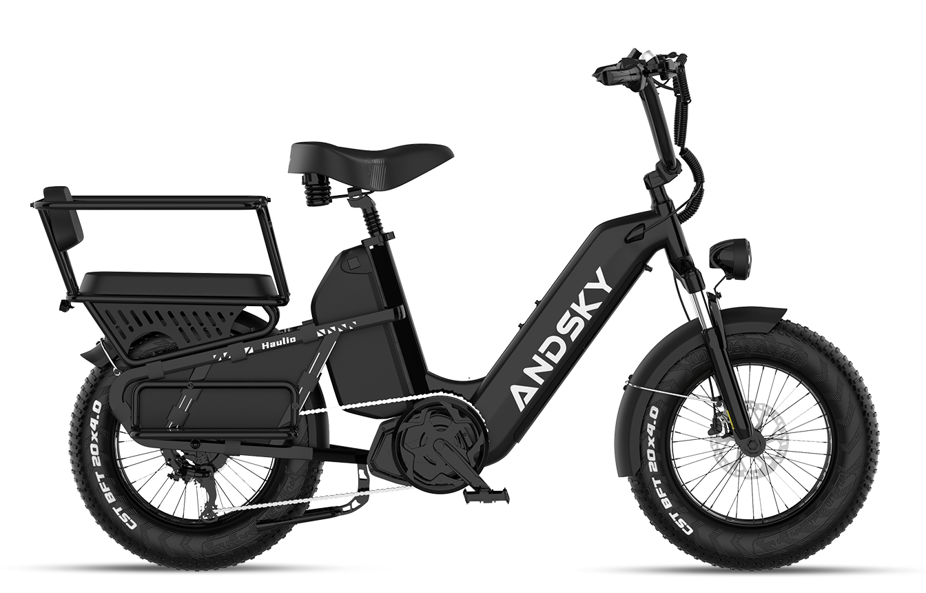Black（Torque / Cadence）